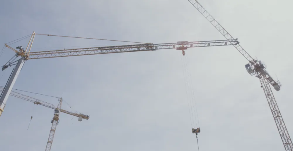 Grue