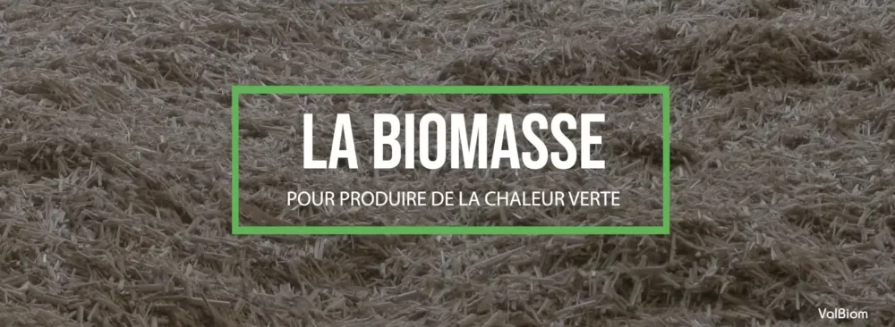 Biomasse
